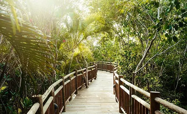 Vidanta Riviera Maya *