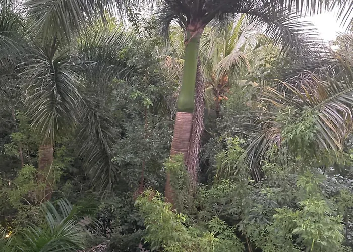 Vidanta Riviera Maya Station touristique *